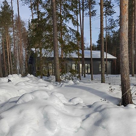 Norvalisma Villa Rovaniemi Luaran gambar