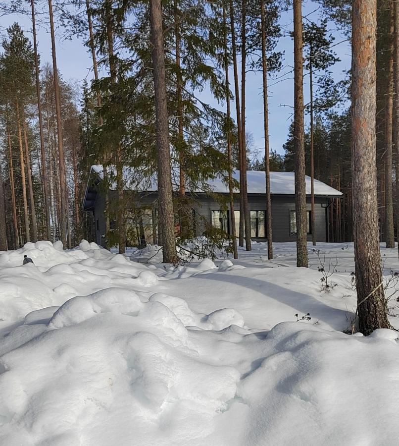 Norvalisma Villa Rovaniemi Luaran gambar