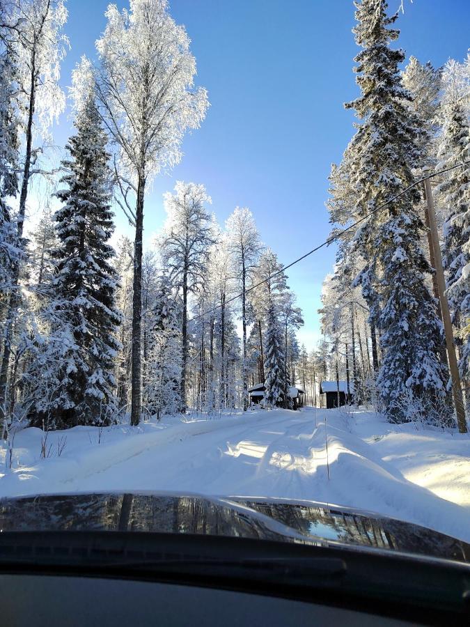 Norvalisma Villa Rovaniemi Luaran gambar